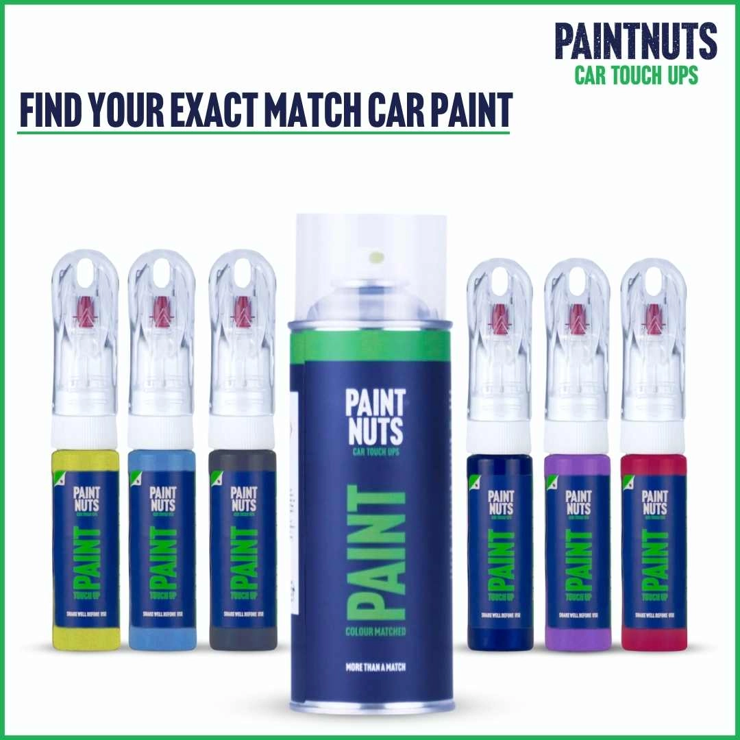 PaintNuts Colour Matched Touch Up Aerosol