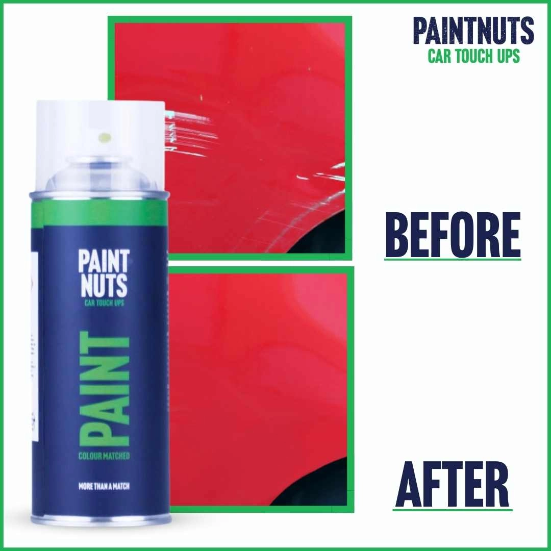 PaintNuts Colour Matched Touch Up Aerosol