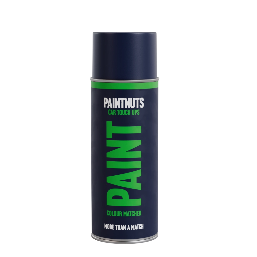 Touch Up Aerosol All You Need Kit for Classic Cars